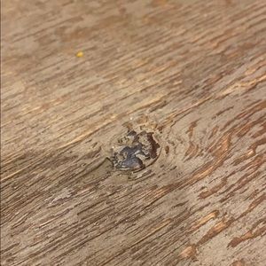 Meet your Posher, Lance